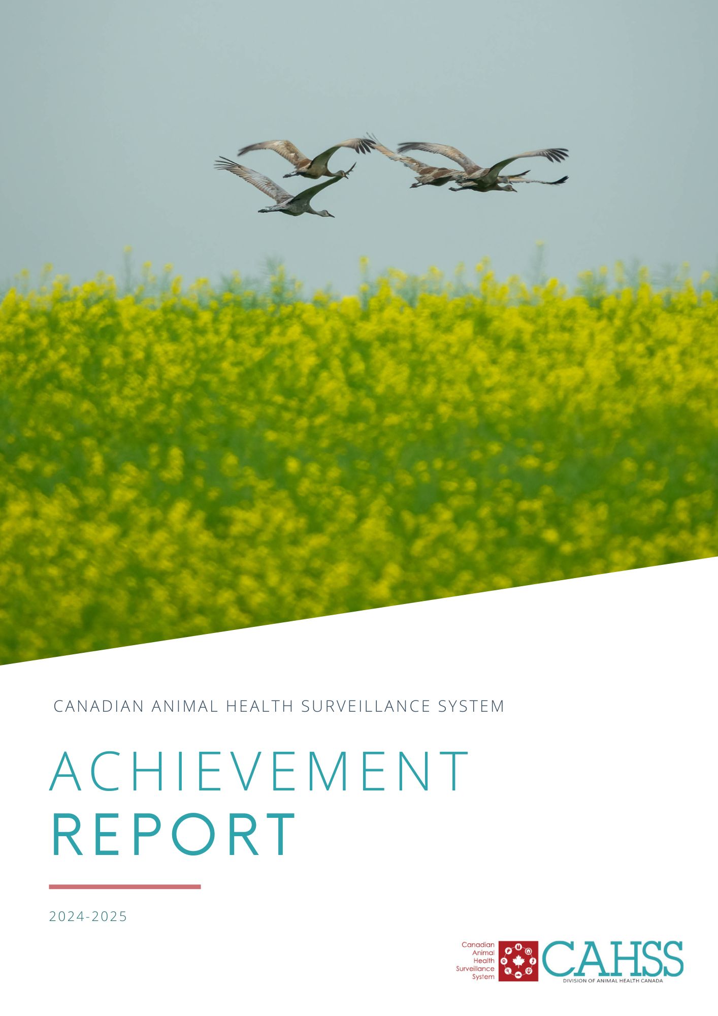 Achievement report cover page with title, CAHSS logo, and a photo of three birds flying over a field