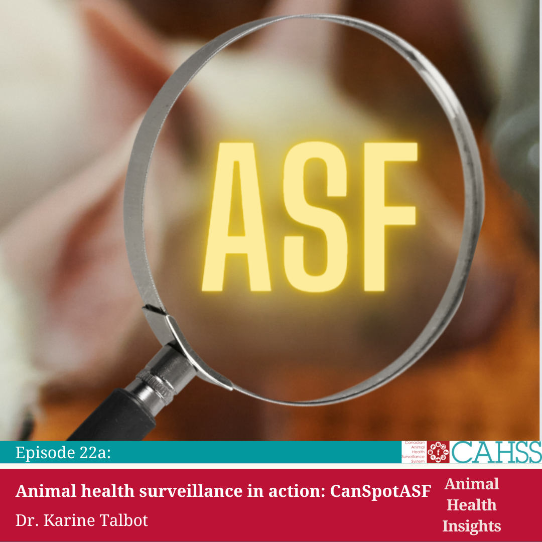 Podcast image with the letters 