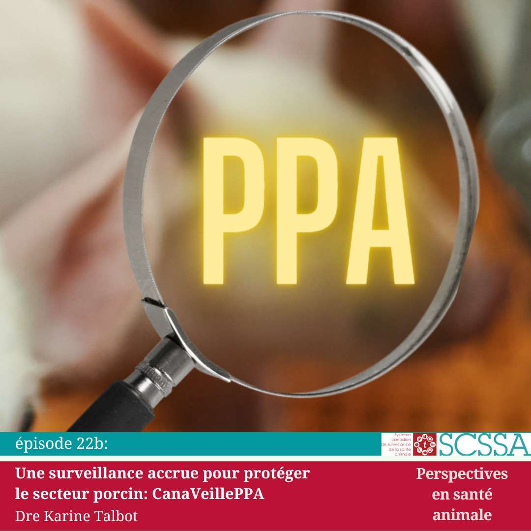 Default Cahss Podcast Pics Ppa 