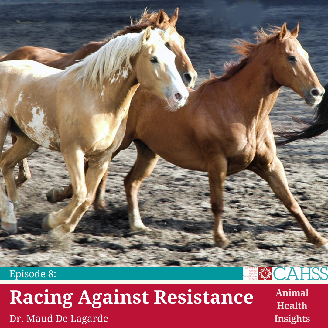 Default Cahss Podcast Pics 1