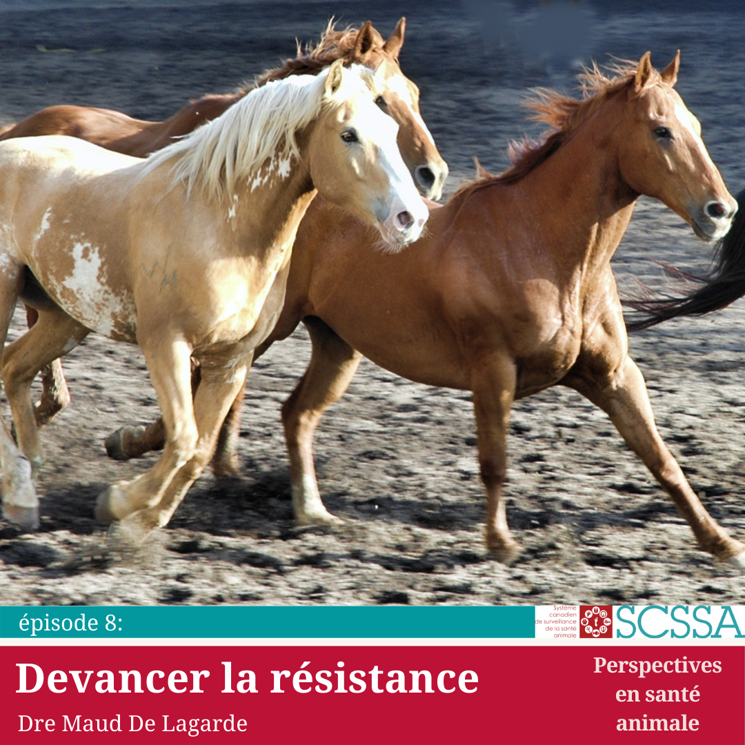 Default Cahss Podcast Pics 2