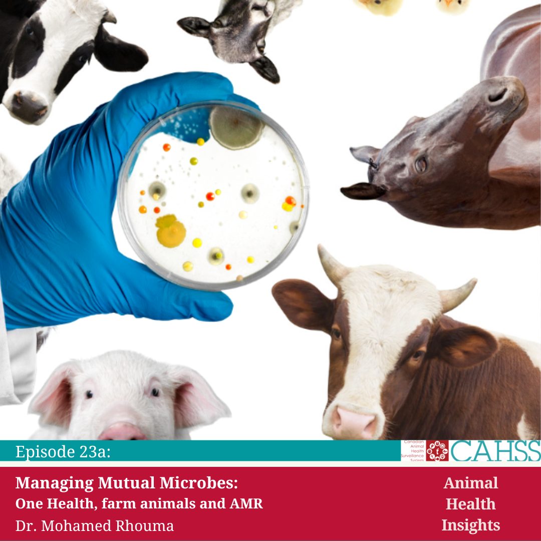 Default Podcast 23A En