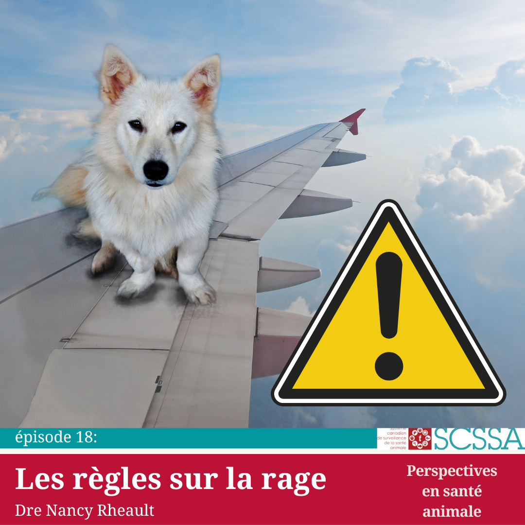 Default Podcast Rules On Rabies Fr