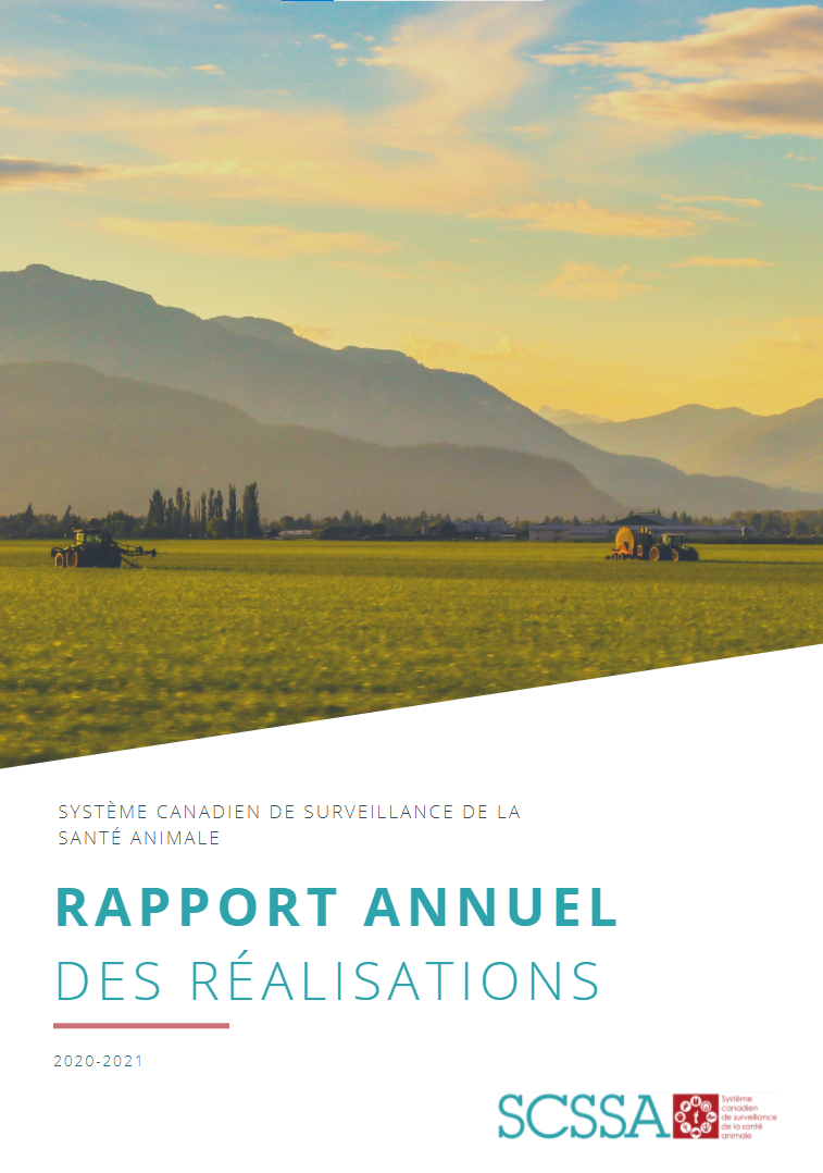 Default Rapportscssa