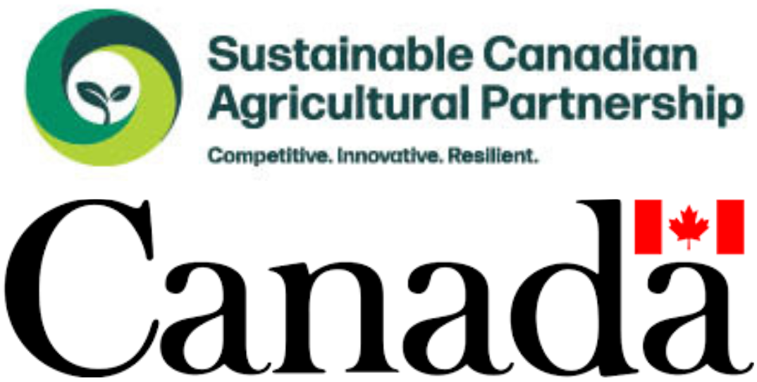 Default S Cap And Canadian Govt Logo Grouped